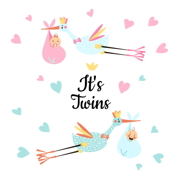 可爱有趣的鹳和双胞胎的心周围。图片下载