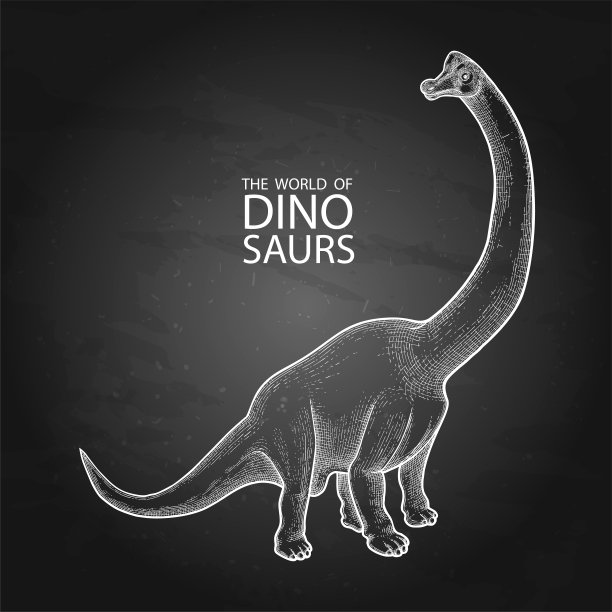 可爱的恐龙插画图片下载