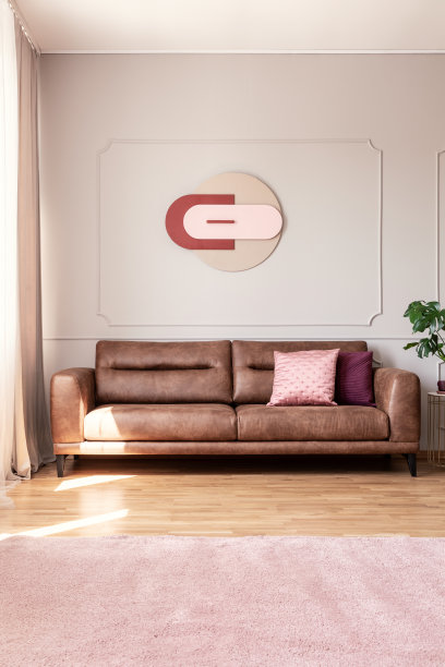 海报上方是带靠垫的真皮沙发，客厅内部有粉红色的地毯和植物。真实的照片图片下载