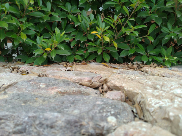 环境保护图片下载