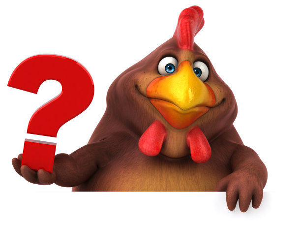 有趣的鸡图片下载