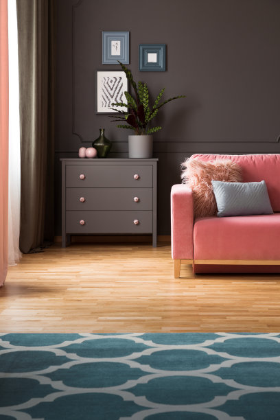 真实的照片橱柜与新鲜的植物和装饰站在黑暗的客厅室内海报和墙上的造型和粉粉色的沙发与枕头图片下载