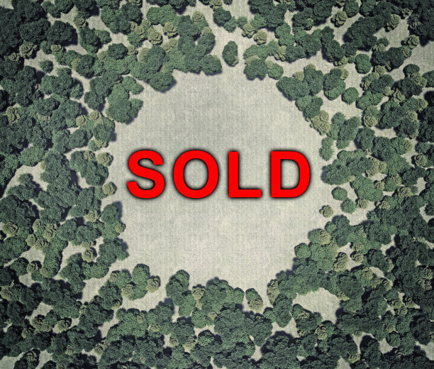 出售文本的林间空地图片下载