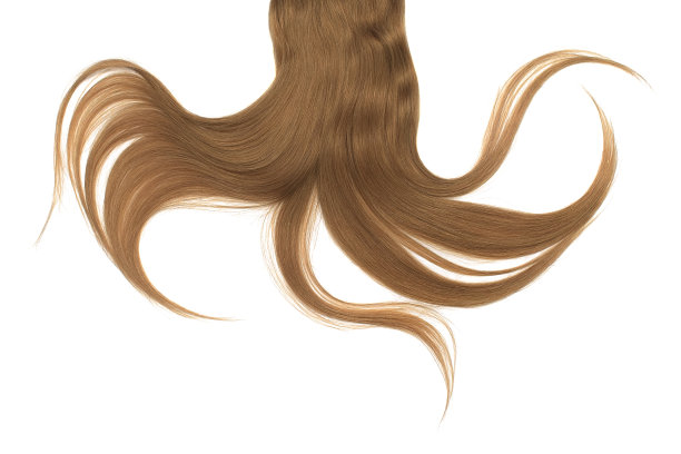 长而凌乱的棕色头发，孤立在白色背景上图片下载