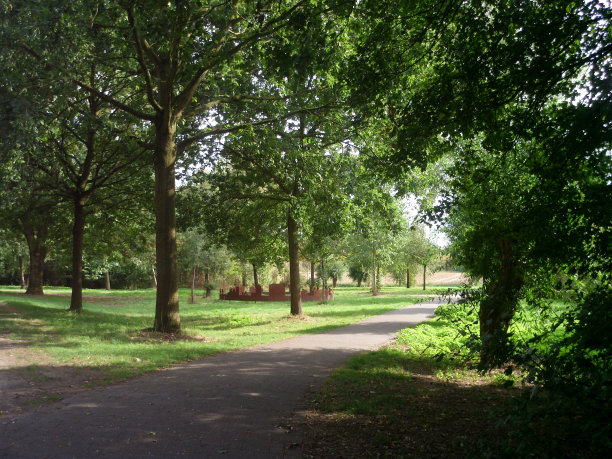 华丽的森林夏季树叶景观图片下载