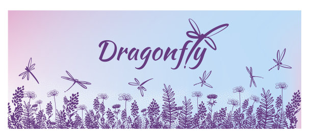 矢量垂直边界与蜻蜓，花，草和植物。夏天的风格。花的背景。图片下载