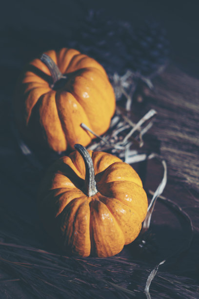万圣节概念图片与南瓜，复古滤镜图像图片下载