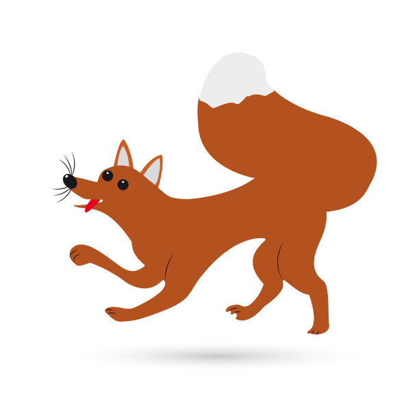 白色背景上的红色狐狸。矢量图图片下载