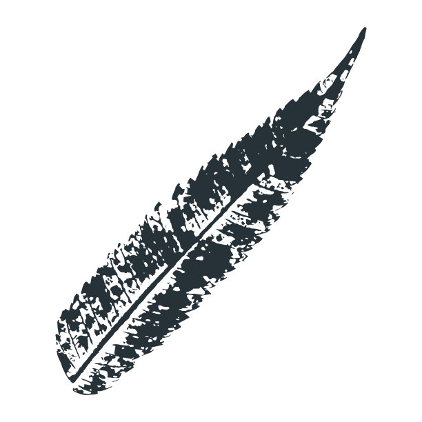 向量叶打印。用墨水把树叶印在纸上图片下载