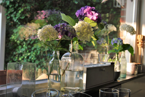 花在花瓶图片下载