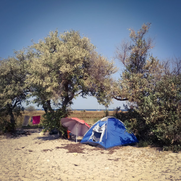 Dzharylgach岛海岸上的旅游帐篷图片下载