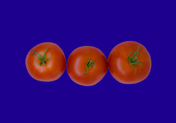 样式食品西红柿图片下载