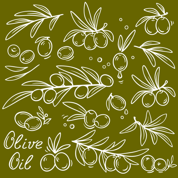 一组橄榄枝剪影图片下载