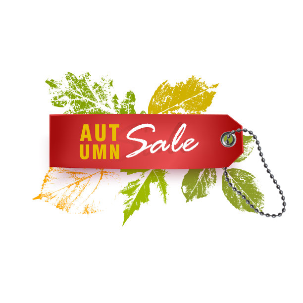 秋季销售传单模板与明亮的秋天树叶。图片下载