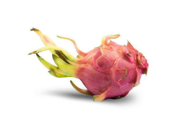 龙水果孤立图片下载