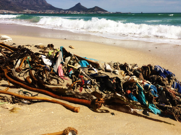 海滩污染图片下载