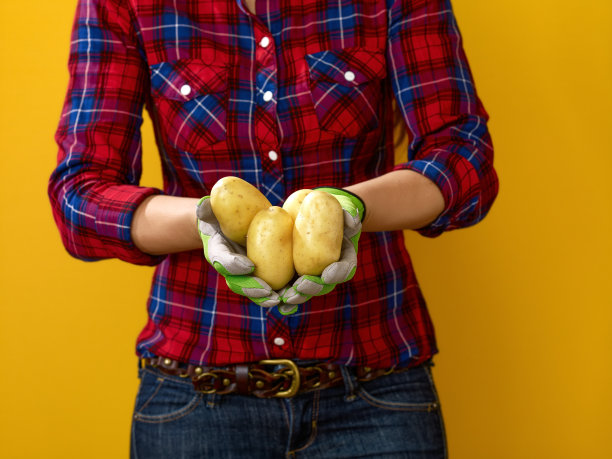 近距离观察一名种植土豆的妇女图片下载
