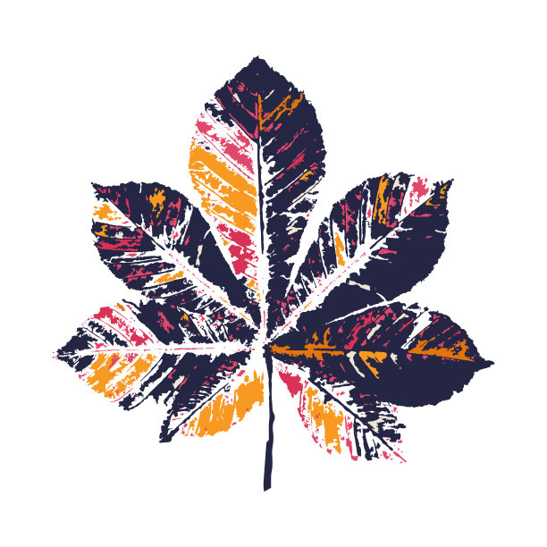 向量板栗叶打印。用墨水把树叶印在纸上图片下载