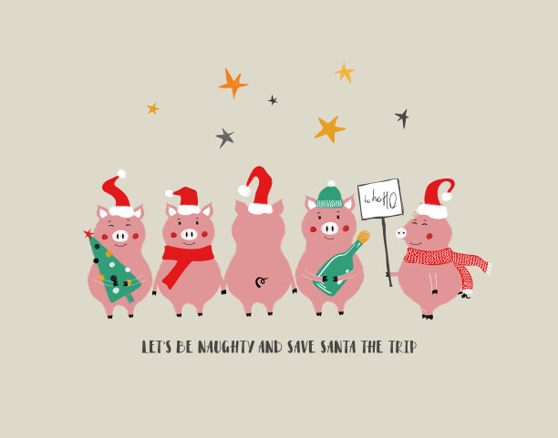 有趣的圣诞贺卡与猪。图片下载