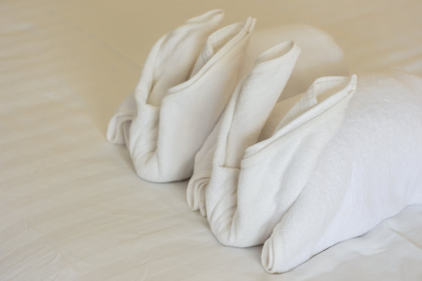 白毛巾兔形图片下载