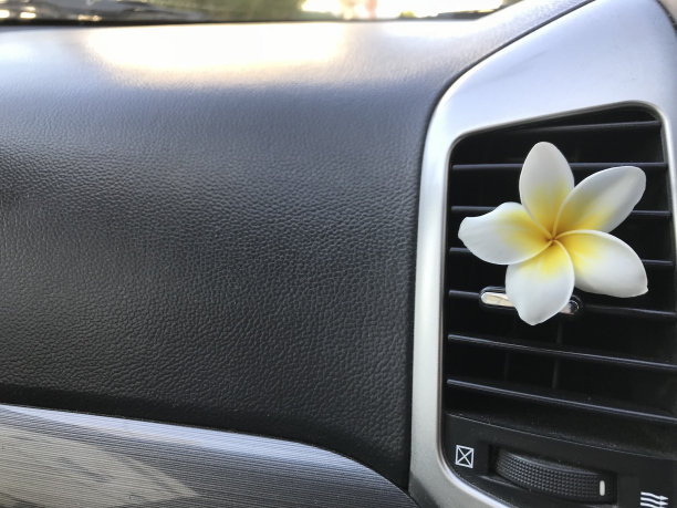 鸡蛋花在汽车空调里图片下载