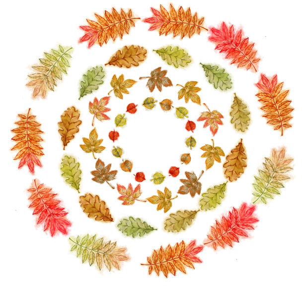 秋叶孤立在白色的花环。图片下载