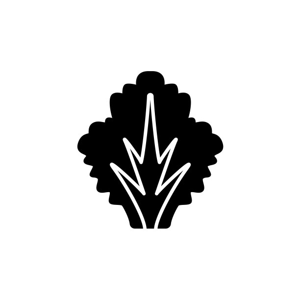 莴苣叶蔬菜的黑白矢量插图。新鲜有机蔬菜的平面图标。素食和素食食品。在白色背景上孤立的物体。图片下载