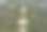 空中视野拍摄的良好景观公园从高海拔-股票图像图片下载