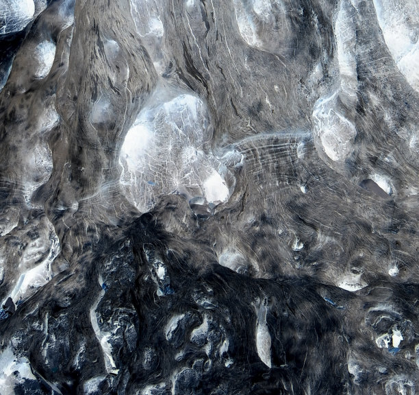 橄榄树茎的背景图片下载