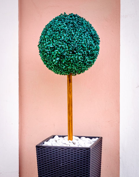 小布什图片下载