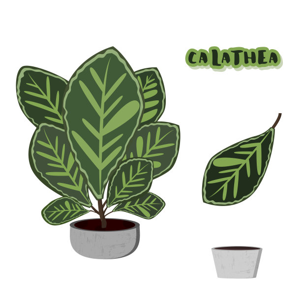 在水泥花盆上放置仙人掌。矢量插图。图片下载