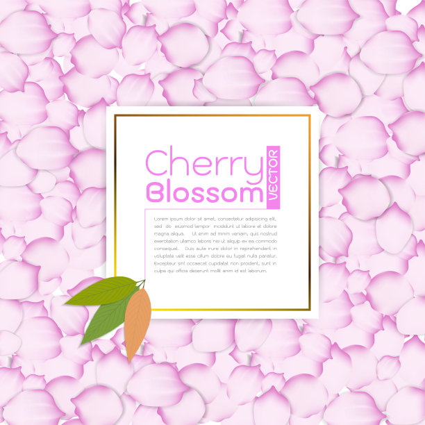 粉红色的樱花和叶子在樱花花瓣的背景上。春天的樱桃图案图片下载