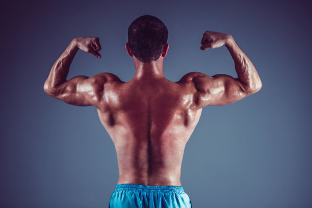 一个年轻的健美运动员和他撕碎的背部和二头肌的后视图图片下载