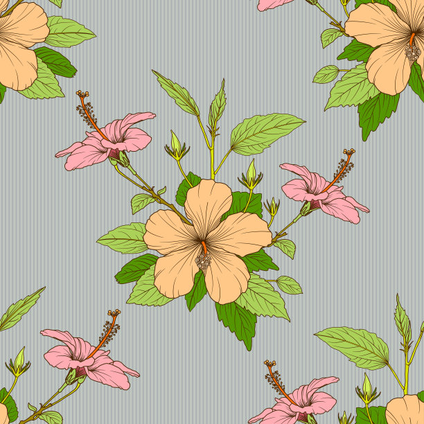 无缝花图案与木槿花图片下载