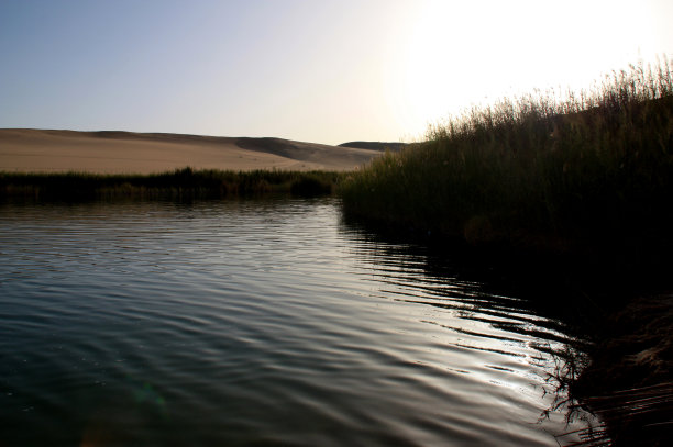 埃及锡瓦附近的绿洲冷泉图片下载