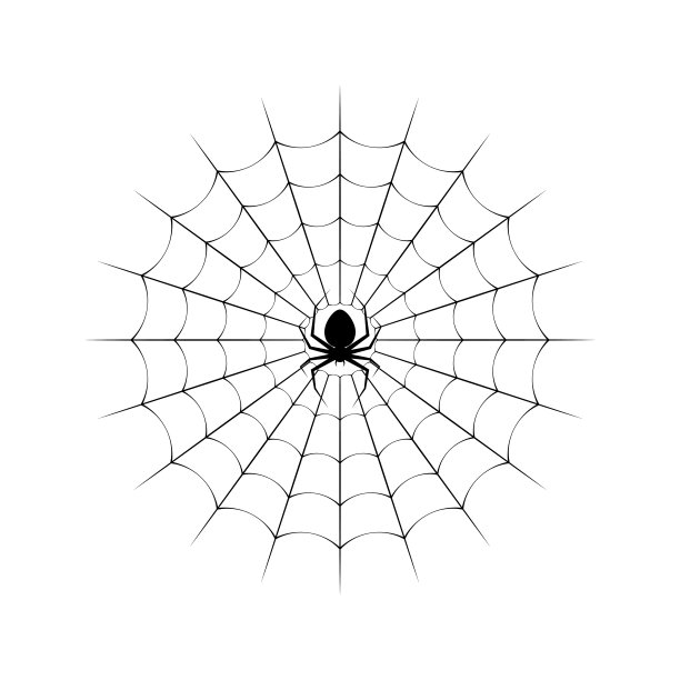 白色背景上的蜘蛛网和蜘蛛。矢量图图片下载