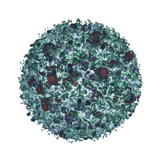 病毒在白色背景上分离。感染和免疫缺陷概念。3d渲染图片下载