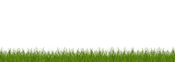 绿色草地背景3D图图片下载