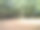 夏日公园美景图片下载