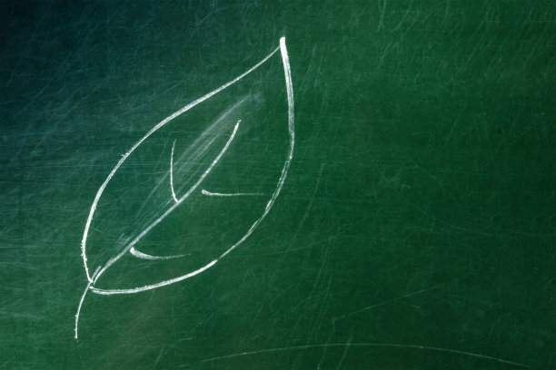 一张用粉笔在绿色的黑板上画的树叶的照片，上面留有复制空间图片下载