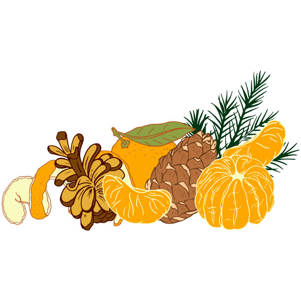 圣诞贺卡与锥形和桔子图片下载