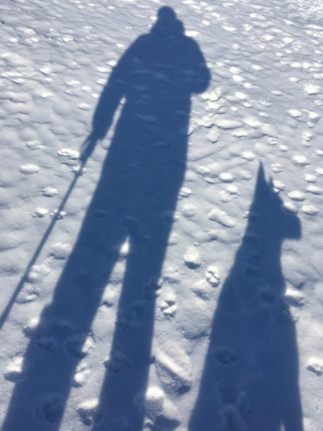 人与狗影子在雪地上图片下载