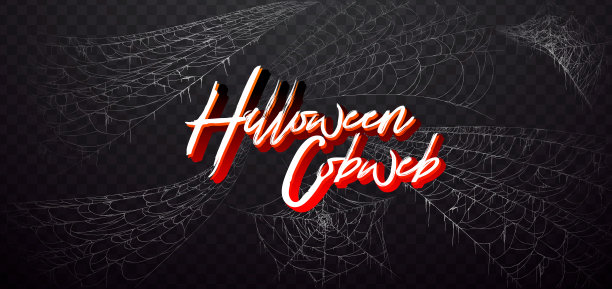 万圣节装饰，蜘蛛网，手绘矢量插图。图片下载