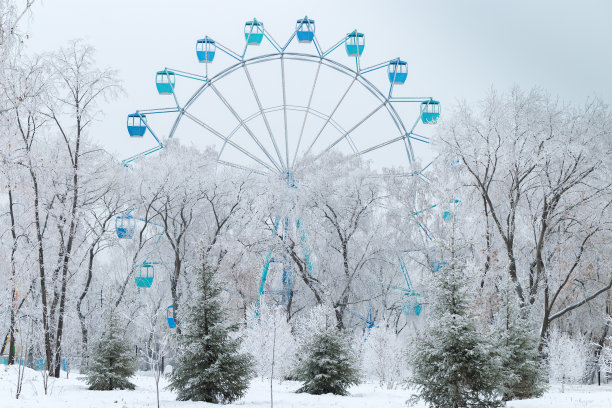 冬天的公园。树上结满了霜。冬天白色的树。图片下载