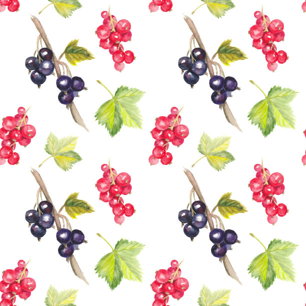 无缝水彩模式与黑和红加仑图片下载