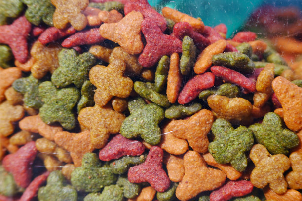 猫的粮食图片下载