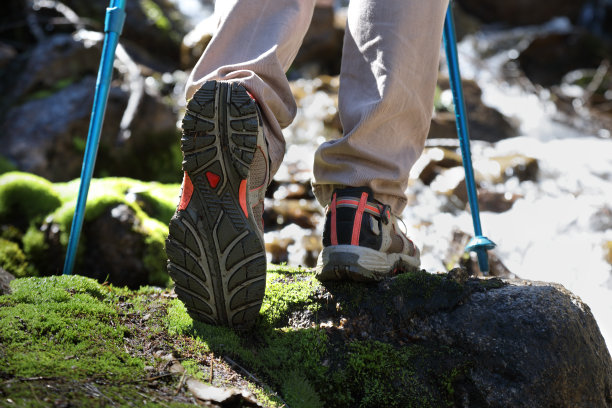 健康的生活方式的概念图片下载