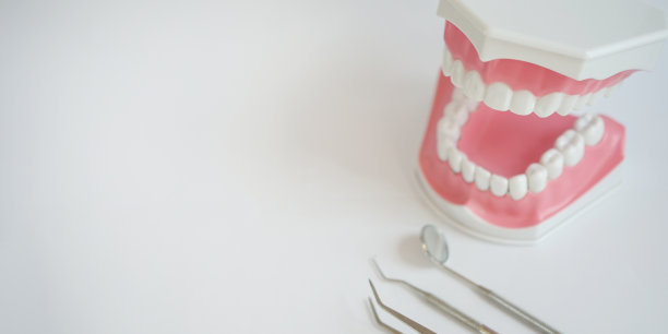 近距离关注牙齿模型义齿种植与粉红色的牙龈和牙医设备(口镜，探索者，棉钳)在白色背景与copyspace为最好的医疗保健和愈合概念图片下载