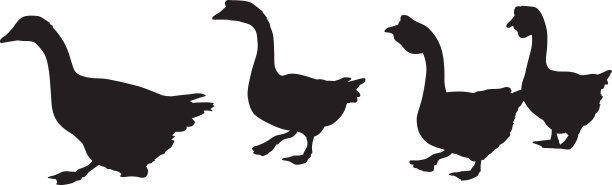 四只鹅走在一条剪影图片下载