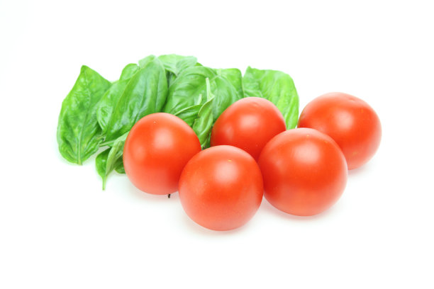 白色背景下的番茄和罗勒图片下载
